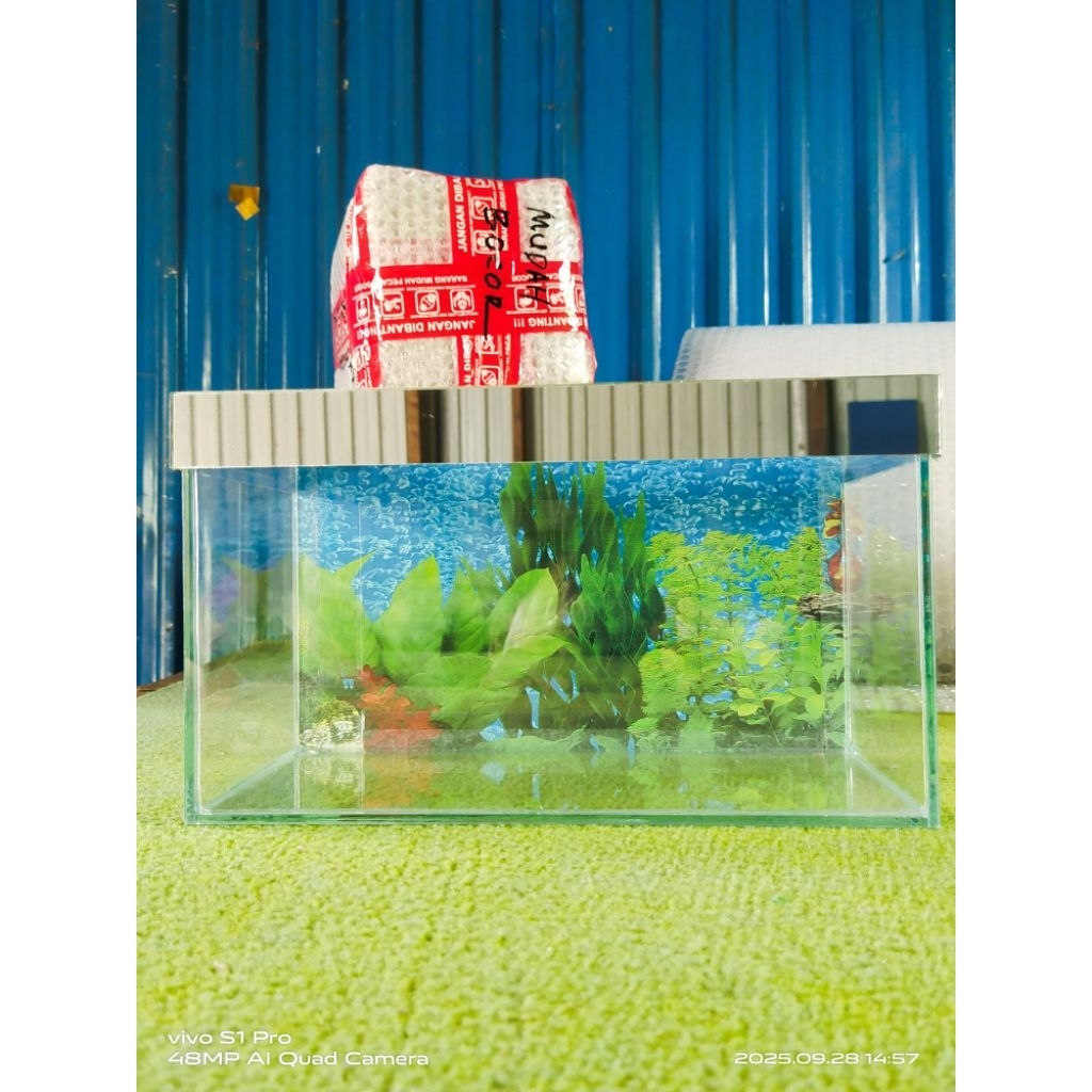 aquarium mini, aquarium aquarium 25X12X15,  aquarium wallpaper. aquarium les cermin. aquarium cupang