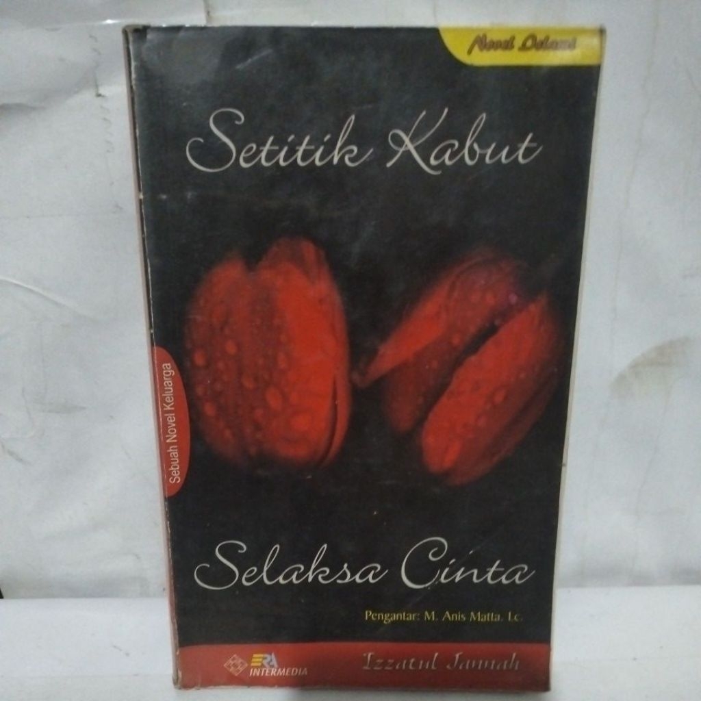 Novel Setitik Kabut selaksa cinta