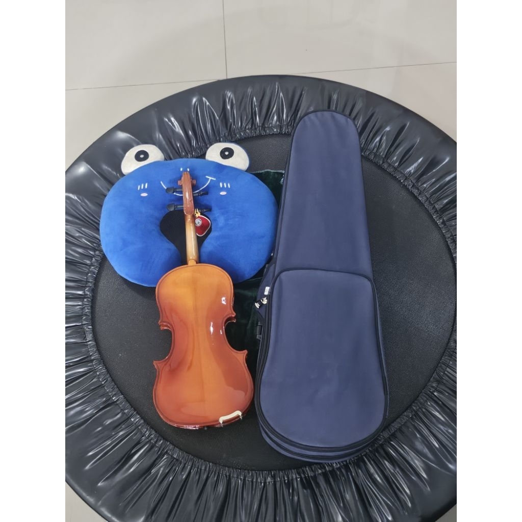 Violin biola skylark 1/4