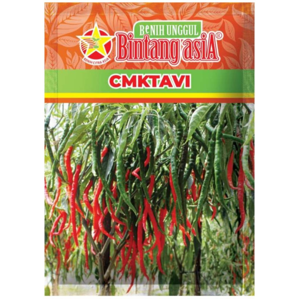 Benih cabai kriting CMK TAVI 10 Gram Bintang Asia