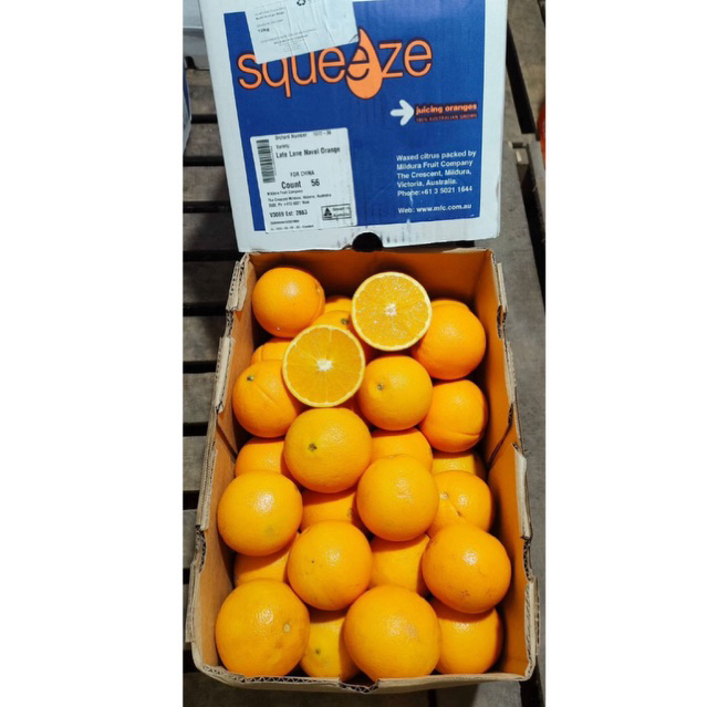 Jeruk Sunkist Navel Australia