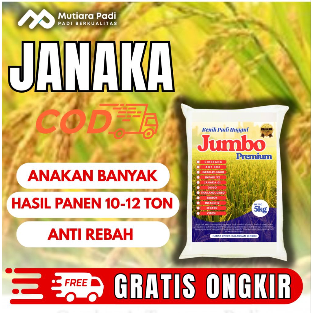 BIBIT PADI BENIH PADI UNGGUL  JANAKA 1KG PADI GENJAH HASIL MELIMPAH