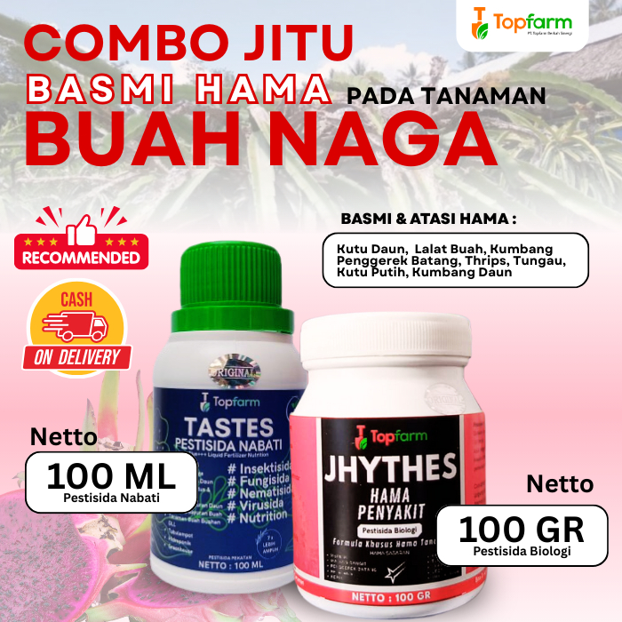 Insektisida Buah Naga / Obat Hama Buah Naga / Obat Cacar Buah Naga / Obat Pembasmi Hama Buah Naga / 