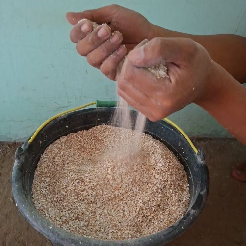 Pupuk cangkang telur organik