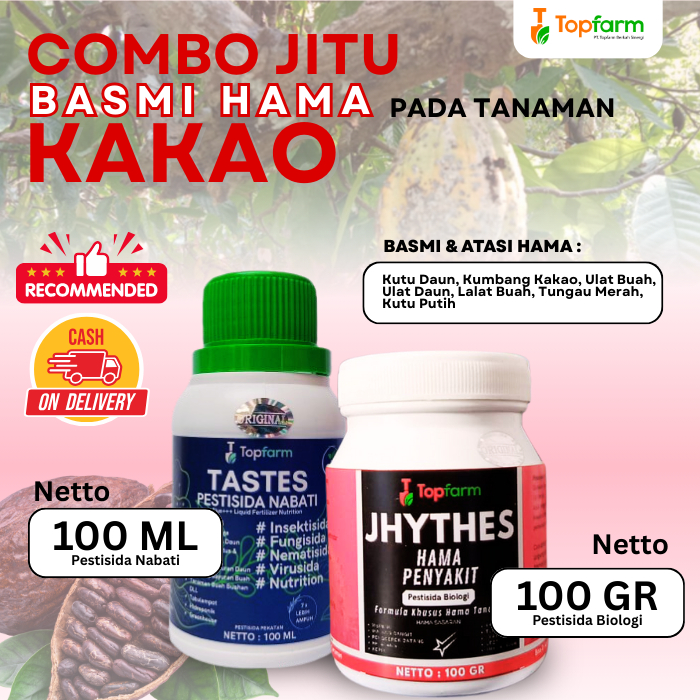Insektisida Buah Kakao / Obat Semprot Anti Hama Kakao / Obat Hama Buah Kakao / Obat Racun Hama Busuk