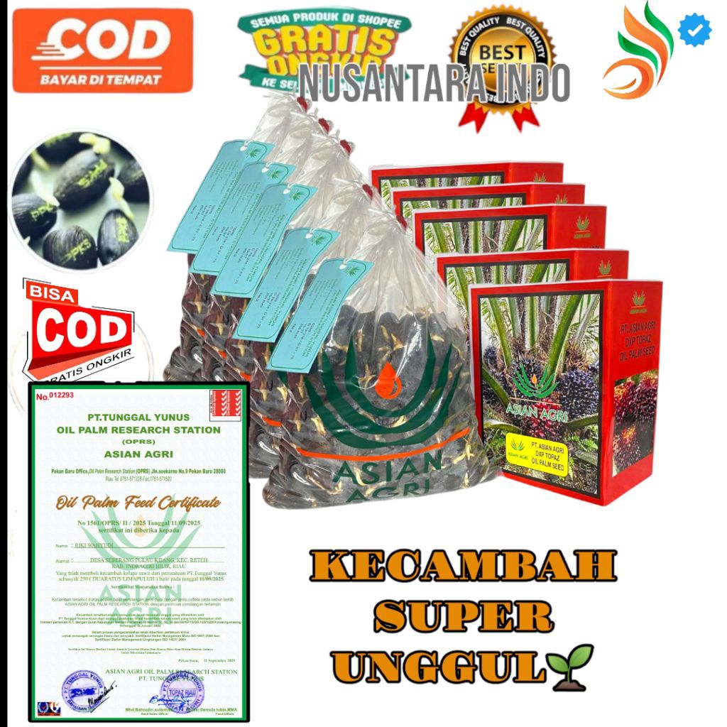 Kecambah Sawit Topaz Unggul bersertifikat ORIGINAL isi 250 butir