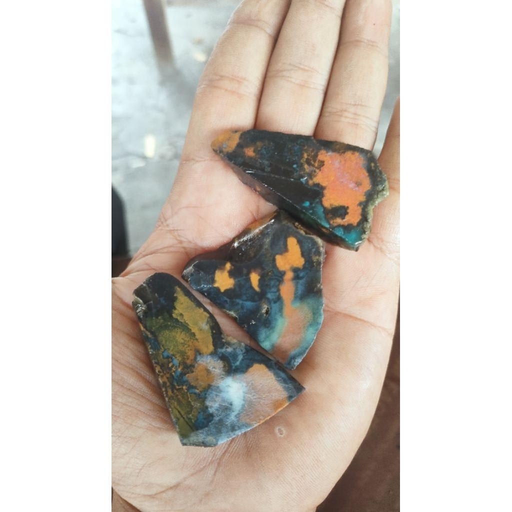 pancawarna Halmahera