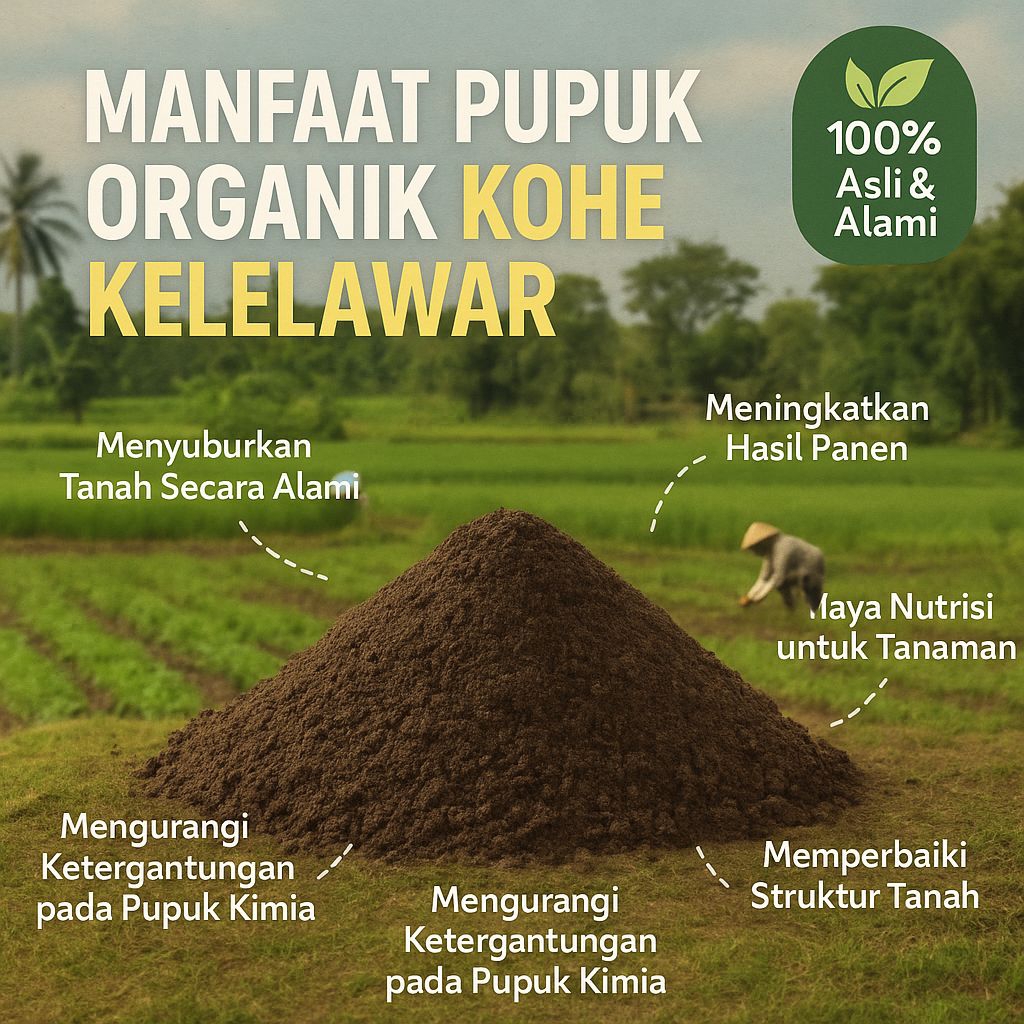 Pupuk Organik Kohe Kelelawar – Penyubur Tanah & Perangsang Pertumbuhan