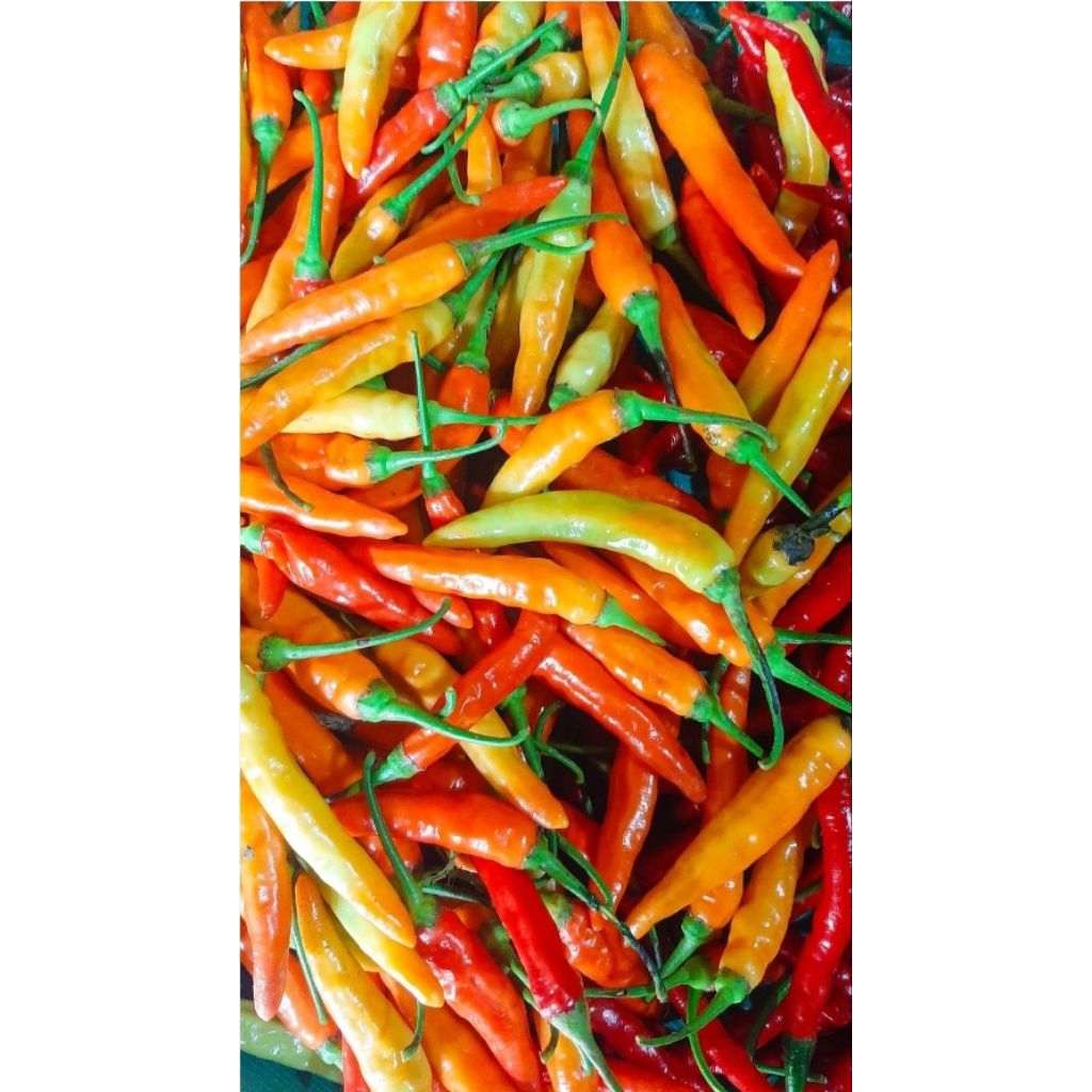 Cabe Rawit Geprek / Sret / setan