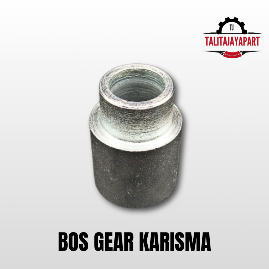 BOS GEAR KARISMA - BOSH/BOS NAP GEAR KARISMA