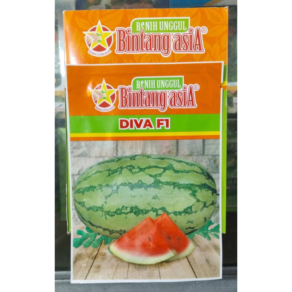 bibit semangka