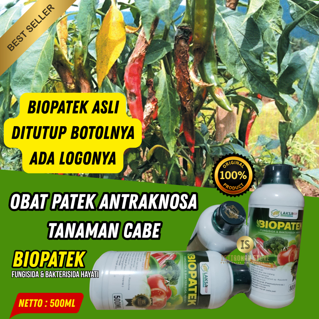 100% AMPUH BIOPATEK Fungisida Hayati obat patek untuk cabe - obat patek cabai - obat kriting cabe - 