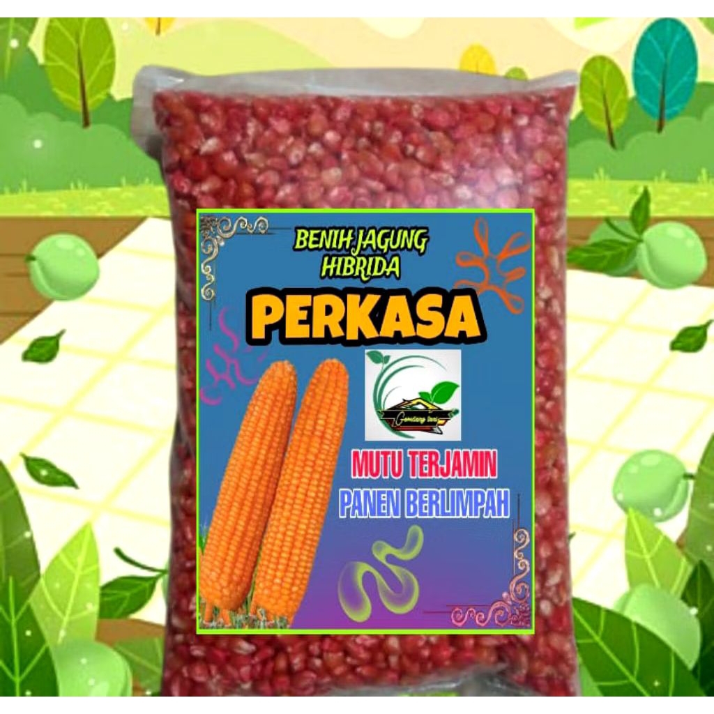 BENIH JAGUNG PERKASA SUPER KUALITAS UNGGUL 1KG