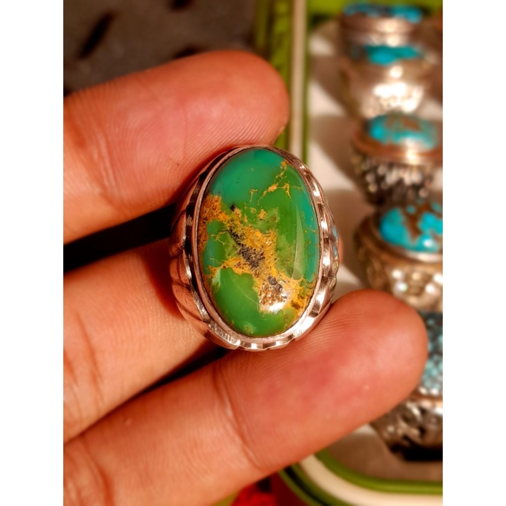 Pirus persia Hijau Kedongdong Lawasan