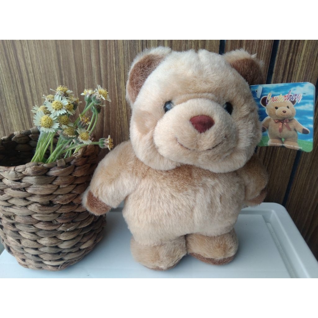 boneka vintage canterbury bear 1999