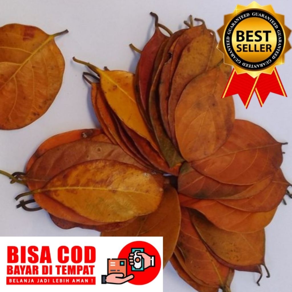 Daun Nangka 120 Lembar Daun Nangka Tua Kering