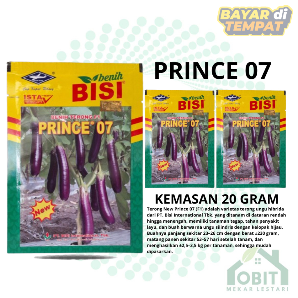 BENIH BIBIT TERONG NEW PRINCE 07 - 10 GRAM TERONG UNGU CAP KAPAL TERBANG PRINCE EPA