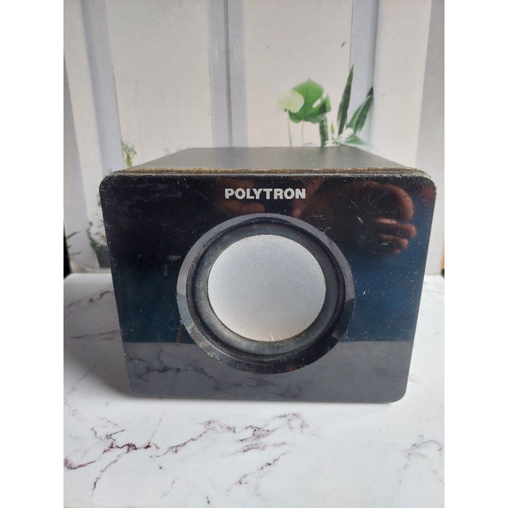 POLYTRON SUBWOOFER PASIF