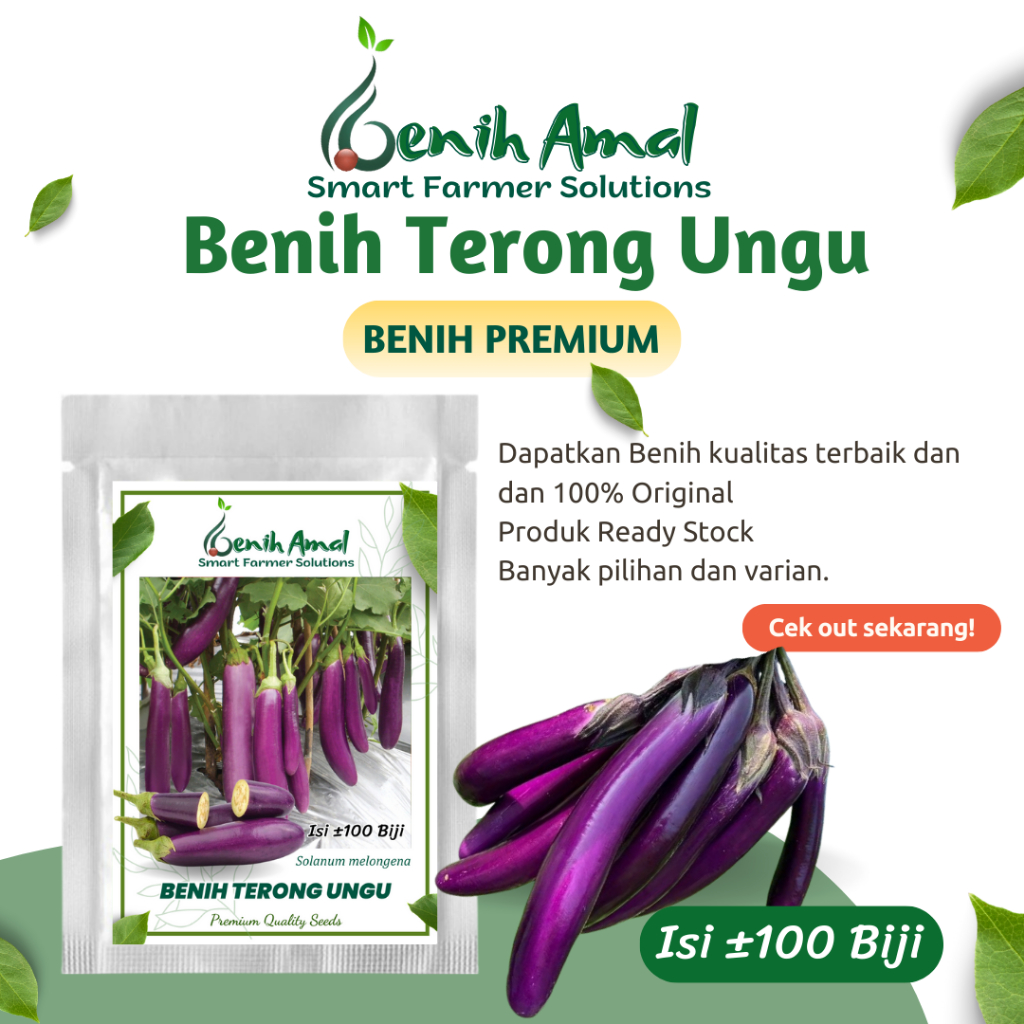 Benih Sayuran Terong Ungu Panjang F1 Hibrida