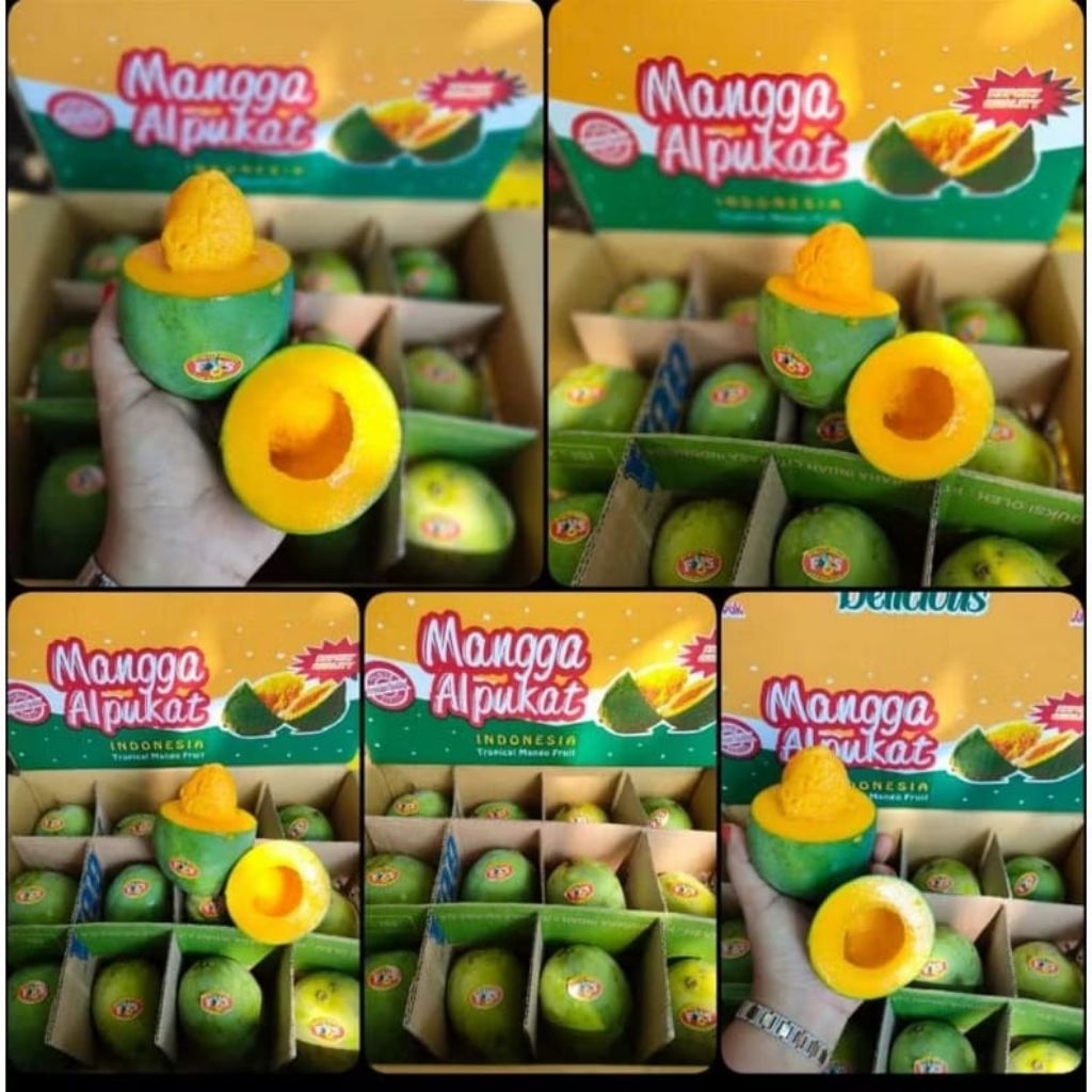 buah mangga alpukat klonal 21 super asli bangil pasuruan jawa timur 1 dus +- 5kg isi 9 - 13 pcs