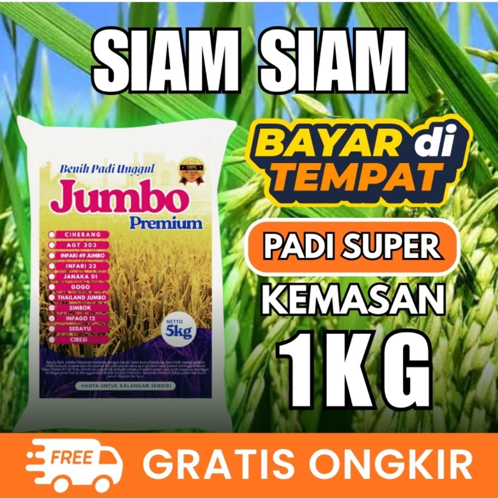 Benih Padi Unggul SIAM SIAM 1Kg