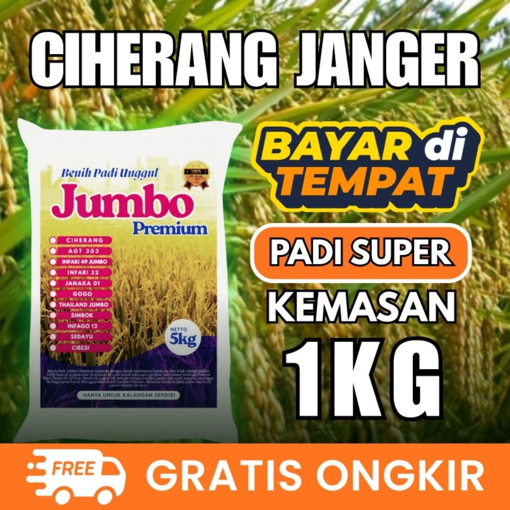 Benih padi Ciherang janger kemasan repack 1kg