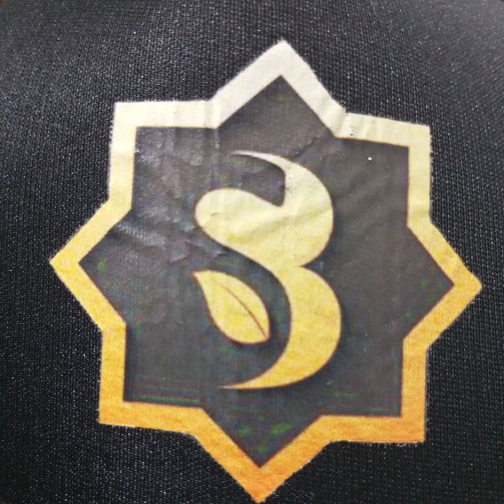 Koin Sidra Token Sidra Bank SidraChain nonFisik