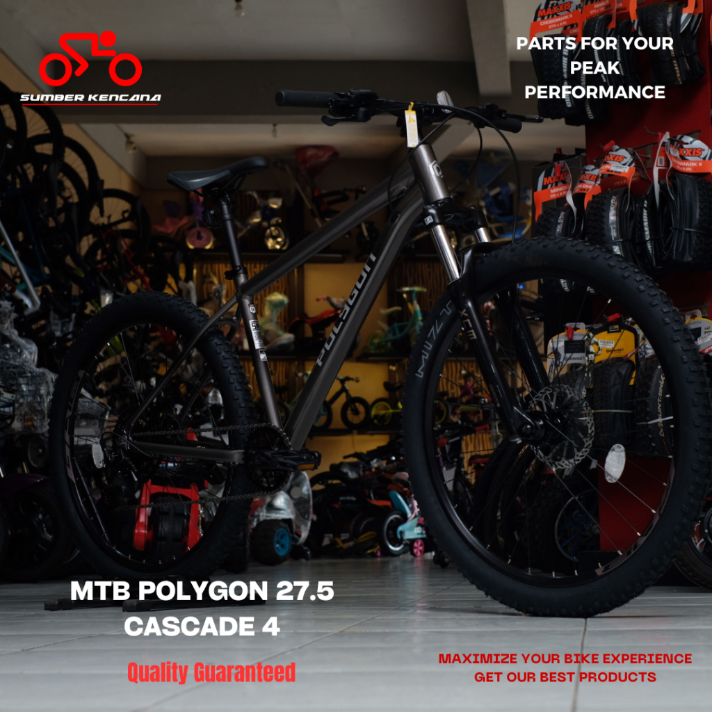 MTB POLYGON CASCADE 4.0