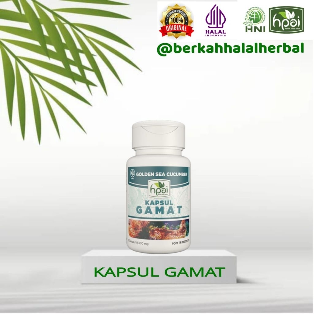 Gamat Kapsul HNI HPAI (Membantu Meredakan Nyeri Sendii)