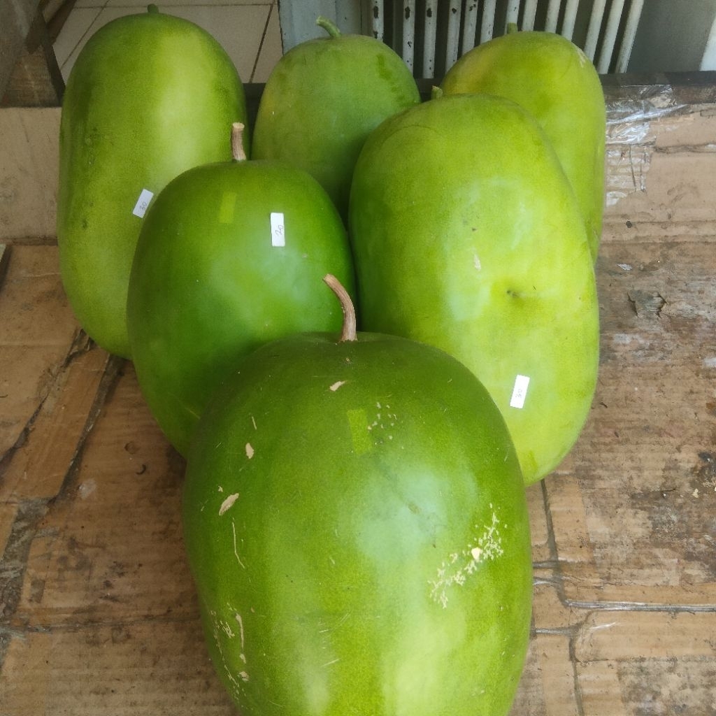 blonceng bligo buah kundur