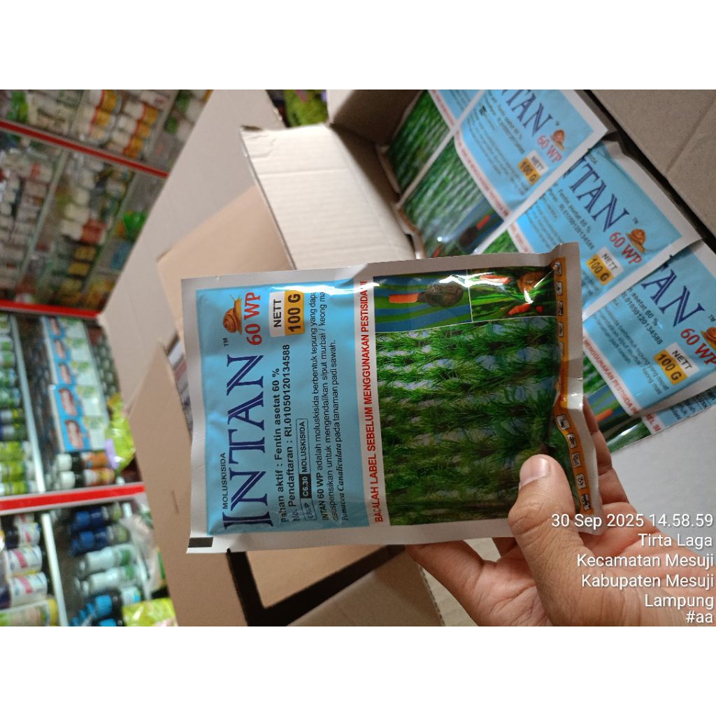 INTAN 60WP Bahan Aktif Fentin Asefat 100gr