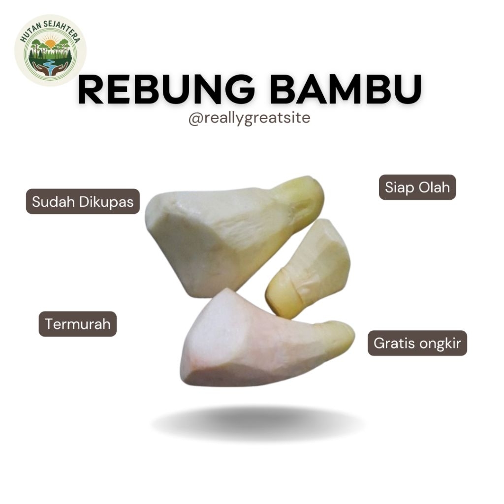 Termurah Rebung Bambung | iwung Bambu Bersih Tinggal Olah