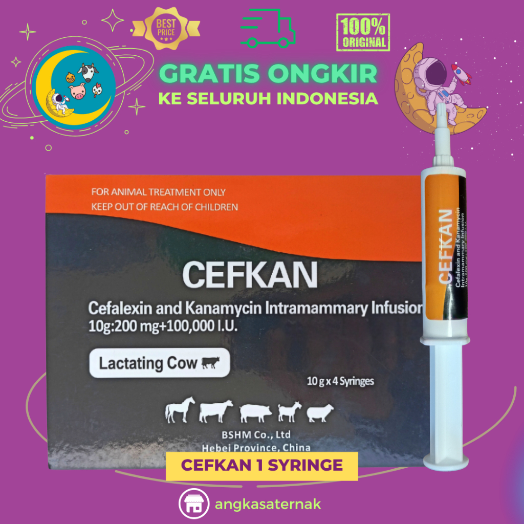 CEFKAN 10 ML - Pengobatan Mastitis Klinis Pada Sapi Perah Menyusui.