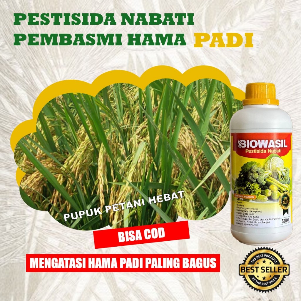 Biowasil Pestisida Organik Padi | Solusi Atasi Hama Daun & Batang | Pupuk Cair Aman Panen Padi Berku