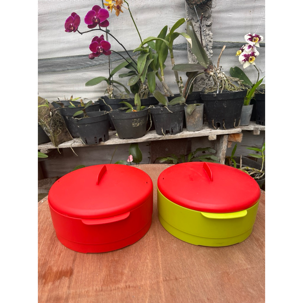 Pengukus second /Preloved tupperware Kukusan tupperware