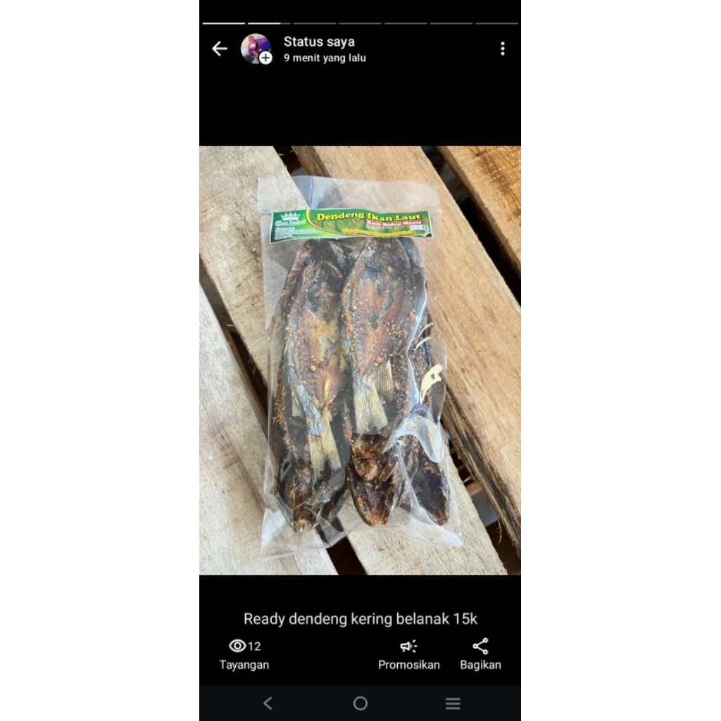 dendeng ikan belanak