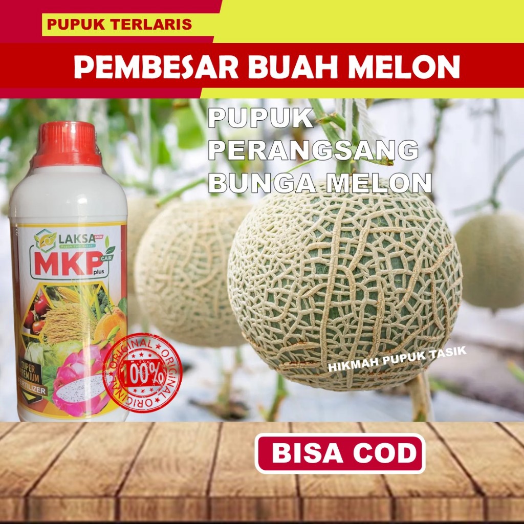 MKP Laksa Pupuk Cair Melon | Nutrisi Lengkap Penyubur Tanaman | Buah Melon Lebat, Manis, dan Berkual