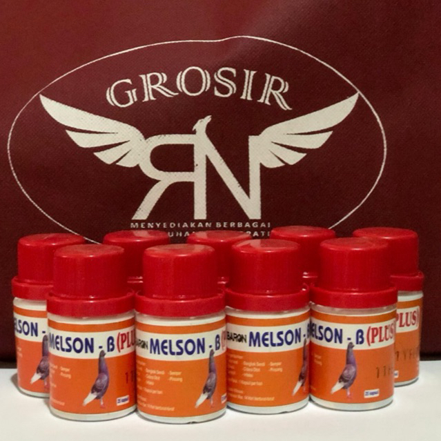 B-MELSON BARON MERPATI KOLONG