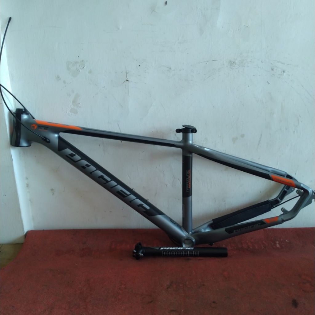 Frame 29er Pacific Blizzard 5.0