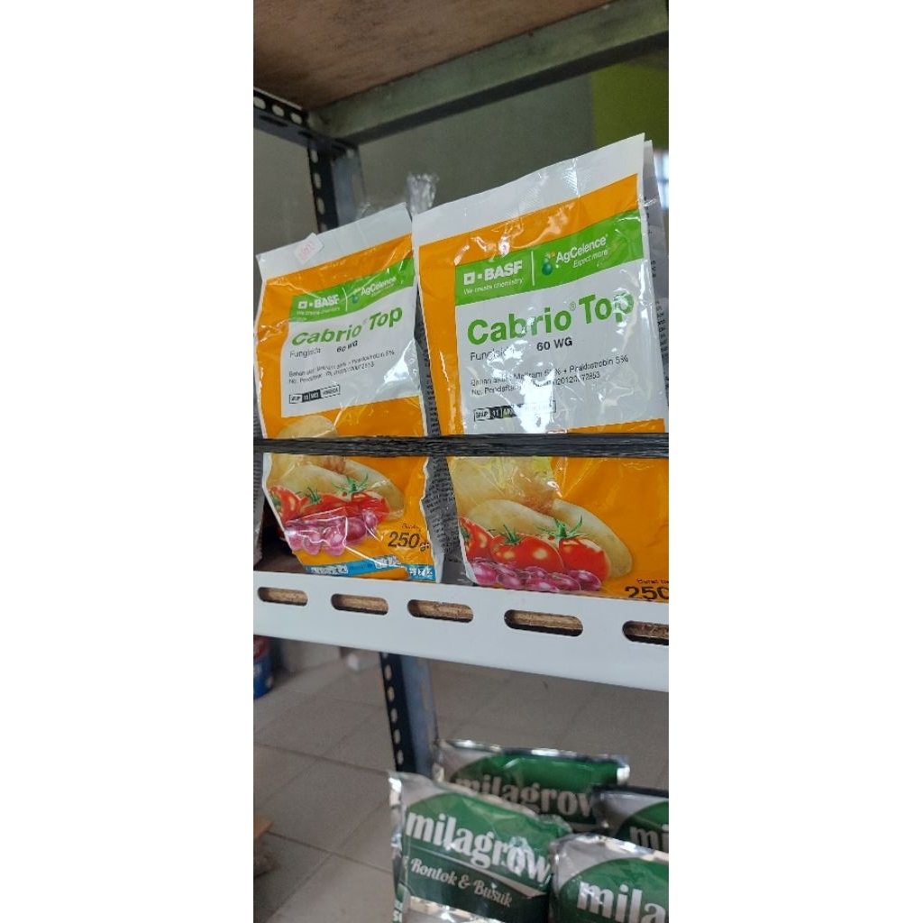 fungisida cabrio top