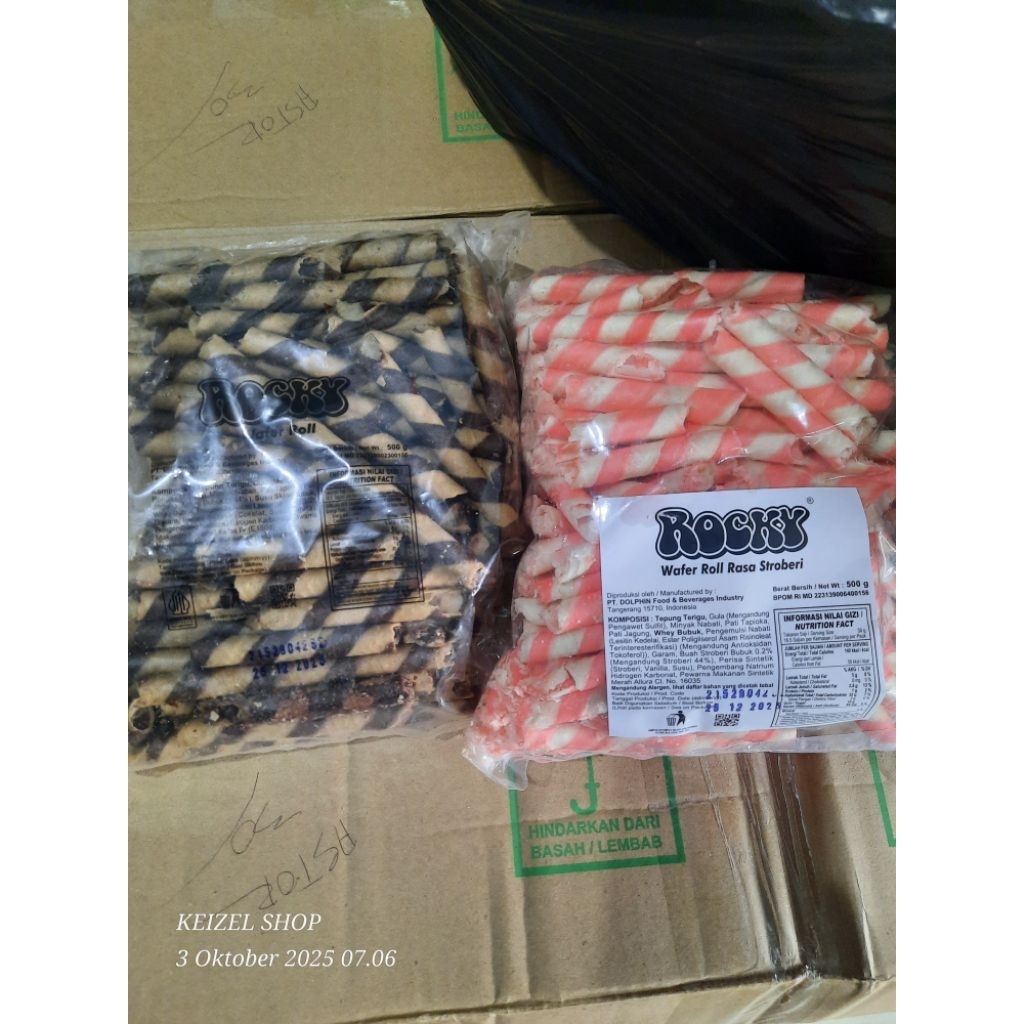 astor patahan dolphin