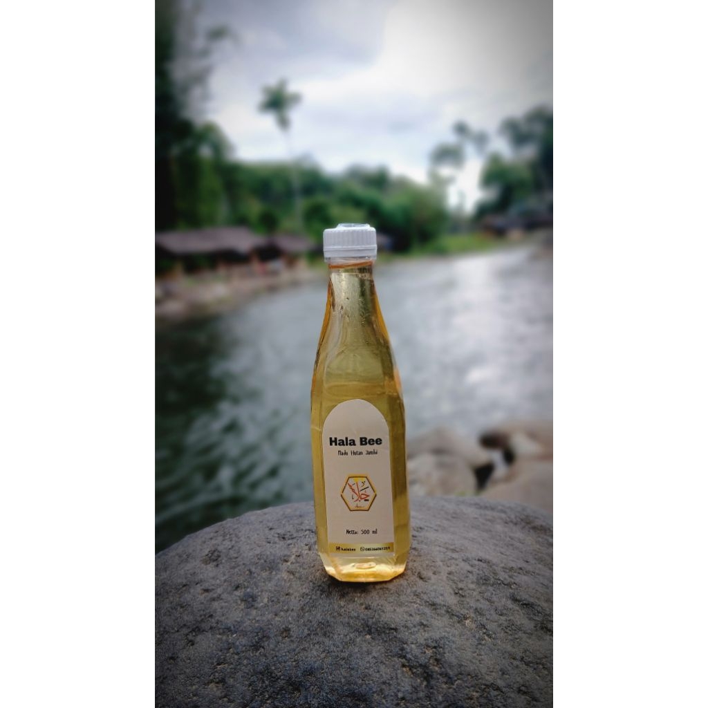 Madu Murni Hutan Jambi