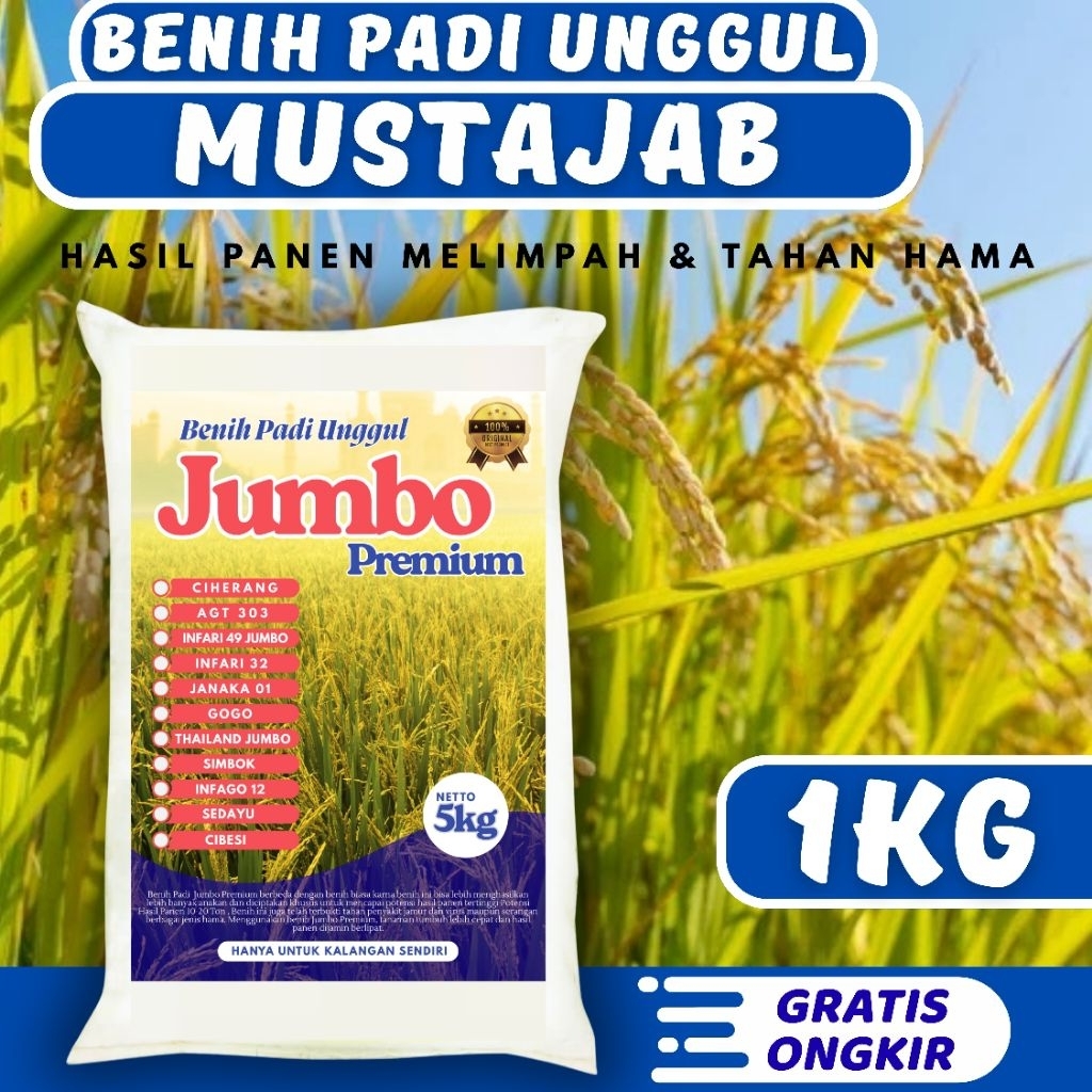Bibit Padi Unggul Mustajab 1kg