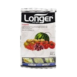 Fungisida Longer 75 WP Bahan Aktif Klorontalonil