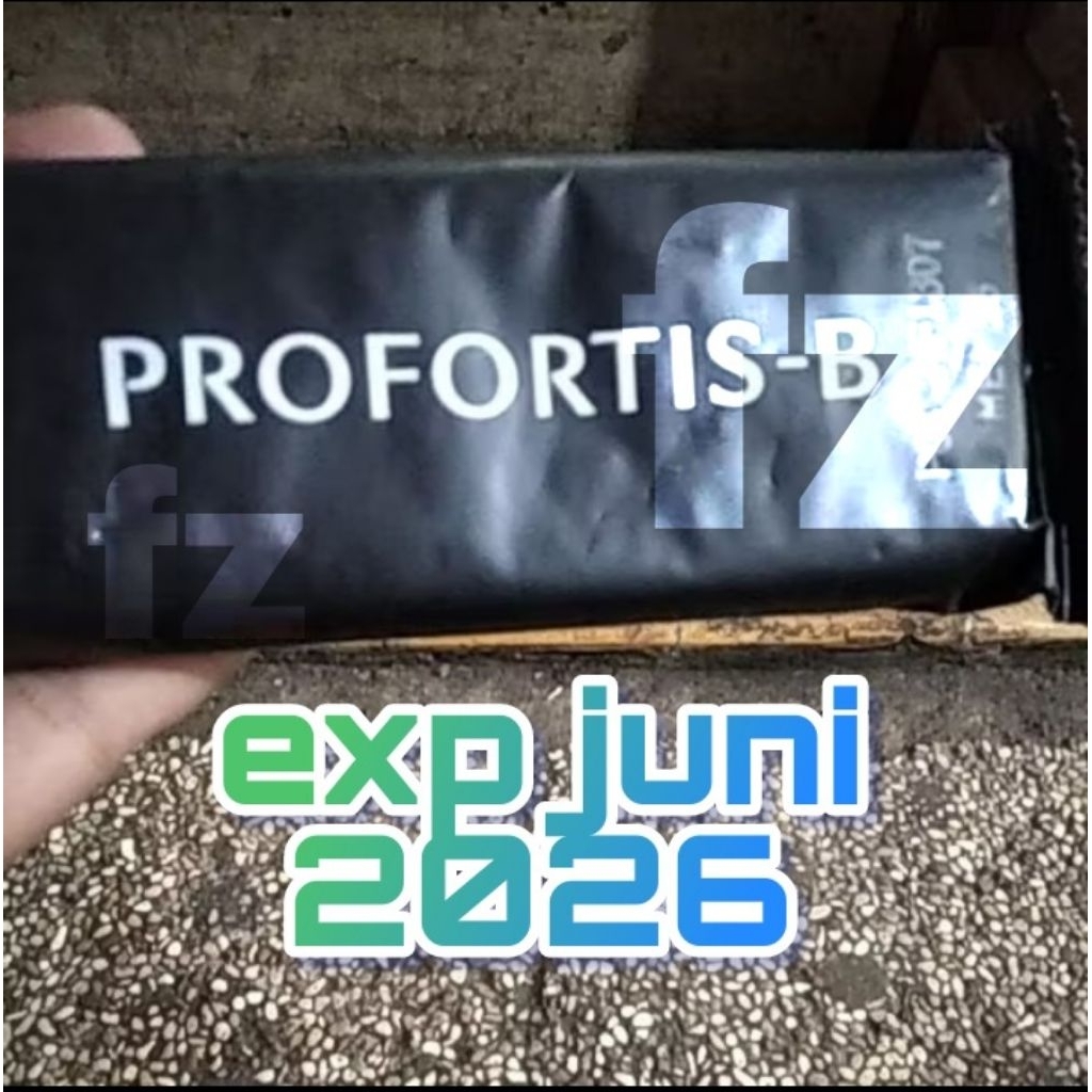 RANSUM BISKUIT TNI PROFORTIS- B