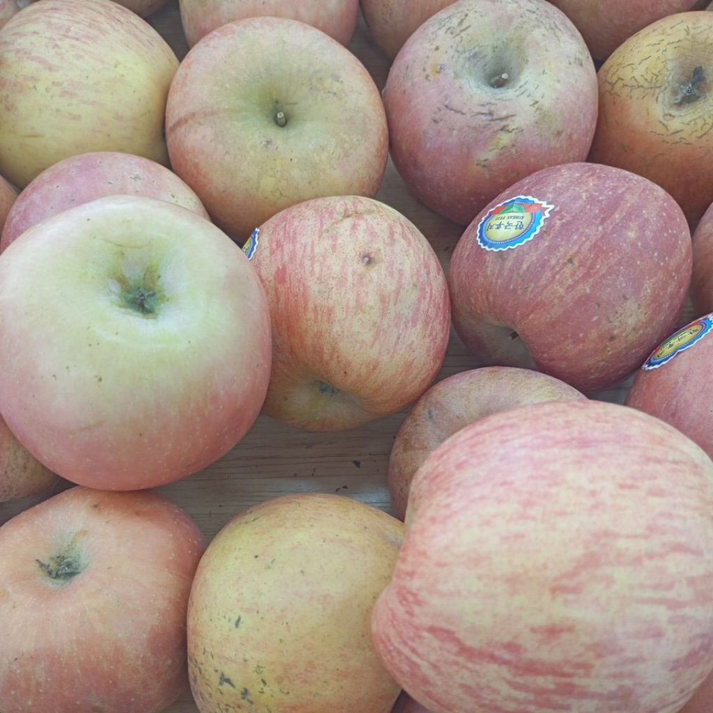 Apel Fuji RRT Segar 1kg