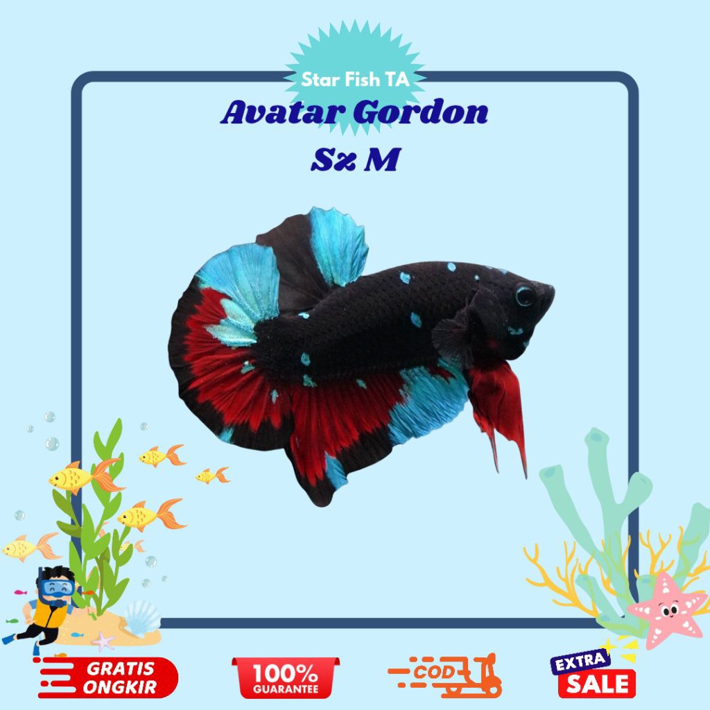 Hiasan Aquascape Avatar Gordon