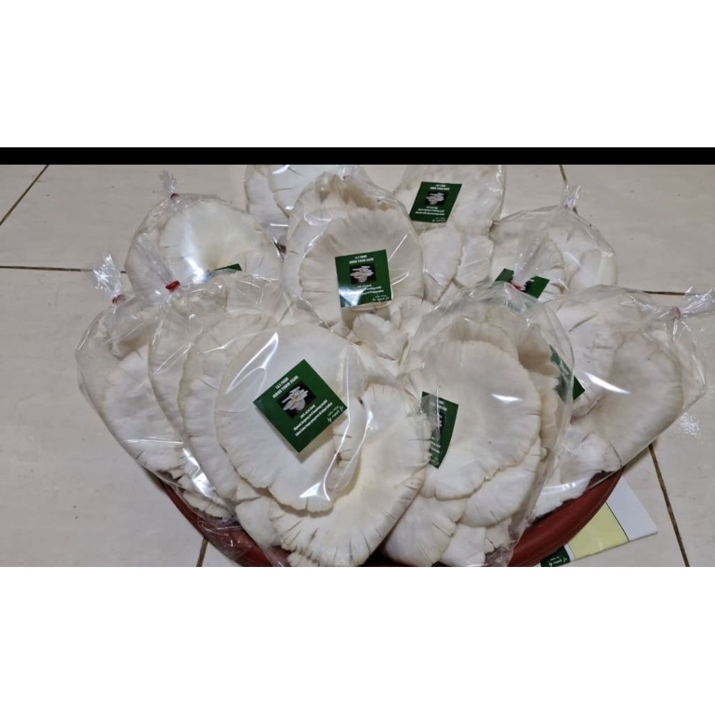 Jamur Tiram Segar Asli Cibitung
