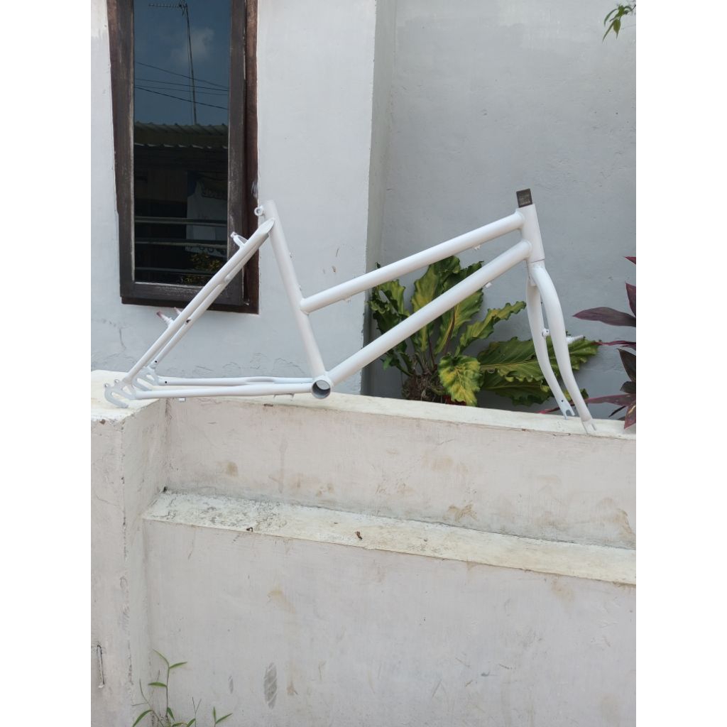 Frame Federal Lady Roda 20
