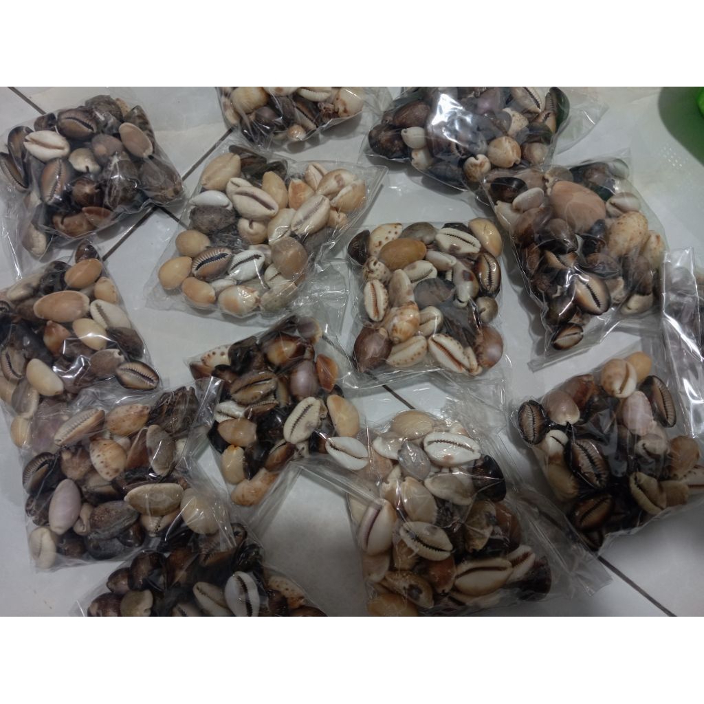 cangkang kerang kerajinan Kuwuk ukuran agak besar 1 bungkus